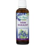 Dr.Popov Šišák bajkalský 50 ml – Hledejceny.cz