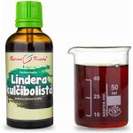 Bylinné kapky Lindera TCM Pavlovy tinktura 50 ml – Hledejceny.cz