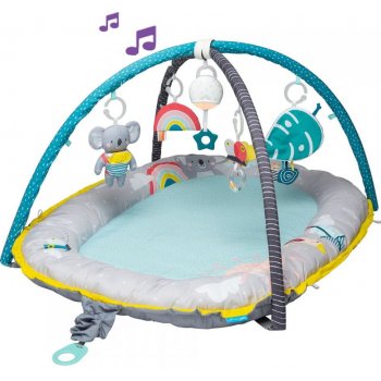 Taf Toys Hrací deka & hnízdo s hudbou
