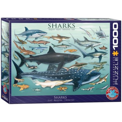 EuroGraphics Jigsaw Sharks 1000 dílků
