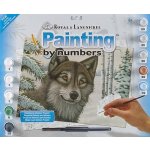 Malování podle čísel Vlk ve sněhu – Sleviste.cz