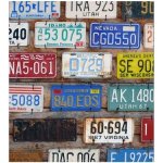 Dimex MS-3-0269 vliesová fototapeta na zeď Poznávací čísla rozměry 225 x 250 cm – Zboží Dáma