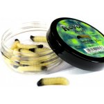 Revol Baits nástraha Caddis Larva 30mm příchuť sýr-česnek, barva natural 10ks Novinka – Hledejceny.cz