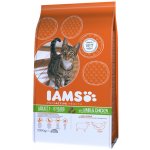 Iams for Vitality Cat Adult Lamb 10 kg – Zboží Mobilmania