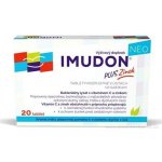 Bioveta Imudon Neo +Zinek 20 tablet – Zboží Mobilmania
