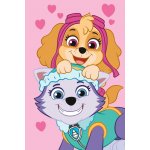 Jerry Fabrics Dětská fleecová deka Paw Patrol PP518 – Hledejceny.cz