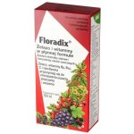 Salus Floradix Železo+ 500 ml – Zboží Dáma