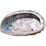 Nefertitis Abalon mušle leštěná vykuřovací miska M 15 až 16 cm NF42893 - cca 15 až 16 cm – Zboží Dáma