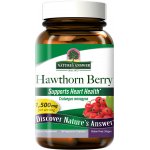 Nature's Answer Hawthorn Berry 90 Veg Kapslí – Hledejceny.cz