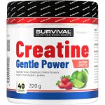 Survival Creatine Monohydrate Gentle Power 320 g – Zboží Dáma