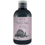 Bes Fragrance Pomegranate a Almond šampon na vlasy 300 ml – Hledejceny.cz