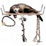 Trixie Závěsný most Grand 35 x 15 cm – Sleviste.cz