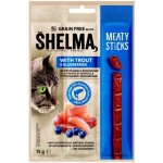 Shelma Bezobilné masové tyčinky pstruh 15 g – Hledejceny.cz