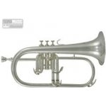 Roy Benson Bb FH 302S Pro Serie postříbřená – Zboží Dáma