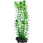 Tetra Anacharis 30 cm – Hledejceny.cz