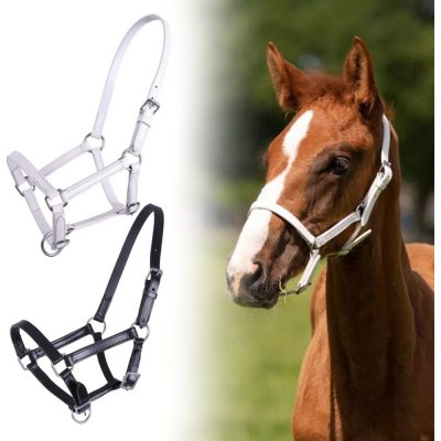 QHP Ohlávka hříběcí kožená Chico bílá Foal – Hledejceny.cz