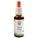 Salvia Paradise Chmel otáčivý AF tinktura 30 ml – Hledejceny.cz