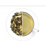 Oxalis Thai Lemon 70 g – Sleviste.cz