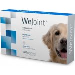 Wepharm WeJoint pro velké psi 30 tbl – Hledejceny.cz