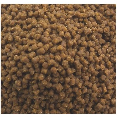 Mikbaits Pstruží granule 10kg 4mm + 100ml lososový olej – Hledejceny.cz