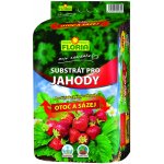 Agro CS Floria Substrát pro jahody 40 l – Hledejceny.cz