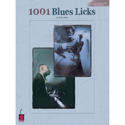 1001 BLUES LICKS: Kompletní bluesový slovník pro všechny improvizující muzikanty – Sleviste.cz
