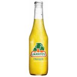 Jarritos Pineapple limo 370 ml – Zboží Dáma