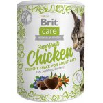 Brit Care Cat Snack Superfruits Chicken 100 g – Zboží Mobilmania