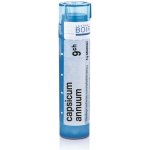 CAPSICUM ANNUUM POR 9CH GRA 1X4G – Hledejceny.cz