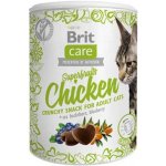 Brit Care Cat Snack Superfruits Chicken 100 g – Zboží Mobilmania