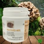 Maitake Trsnatec Lupenitý 90 tablet – Hledejceny.cz