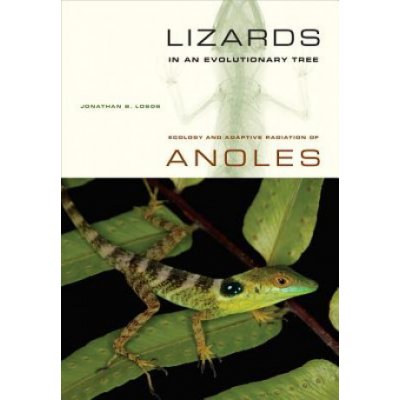 Lizards in an Evolutionary Tree - J. Losos