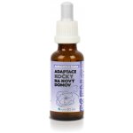 Adaptace kočky na nový domov Bachovy kapky 30 ml – Hledejceny.cz