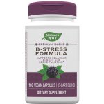 Nature's Way B-Stress Formula 100 kapslí – Hledejceny.cz