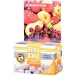 SILVA TABS na ovocné stromy a keře 250g – Hledejceny.cz