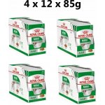 Royal Canin Mini Adult 12 x 85 g – Zboží Mobilmania