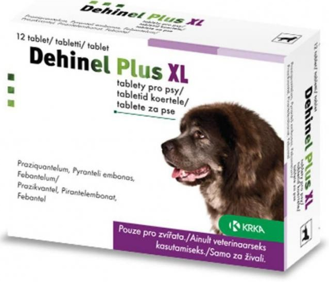 Dehinel Plus XL 2 tbl