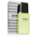 Antonio Puig Quorum Silver toaletní voda pánská 100 ml – Hledejceny.cz