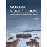 Morava v době ledové: Prostředí posledního glaciálu a metody jeho poznávání - Robert Musil