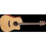 Takamine P3DC Natural – Sleviste.cz