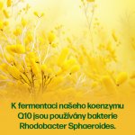 Walmark Koenzym Q10 30 mg 60 tobolek – Hledejceny.cz