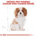Royal Canin Kavalír King Charles Puppy 1,5 kg – Sleviste.cz