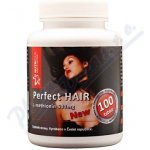 Perfect Hair new-methionin 500 mg 100 tablet – Zboží Mobilmania