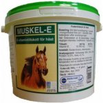 Biofarmab Muscle E pro koně 0,9 kg – Zboží Mobilmania