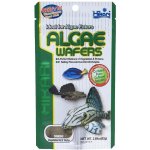 Hikari Algae Wafers 82 g – Hledejceny.cz