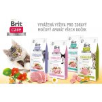 Brit Care Cat Grain-Free Sterilized Immunity Support 2 kg – Hledejceny.cz