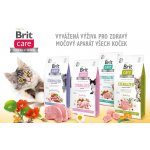 Brit Care Cat Grain-Free Sterilized Immunity Support 2 kg – Zboží Dáma