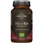 Hifas da Terra Mico-Rei 70 kapslí Bio – Hledejceny.cz