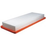 Vzduchový filtr Filtron AP196/4 pro Citroen C4, C5, Picasso, DS4, DS5 (1444QR, 1444TT) – Hledejceny.cz