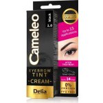 Delia Cosmetics Cameleo krémová profesionální barva na obočí 1.0 Black 15 ml – Zboží Dáma